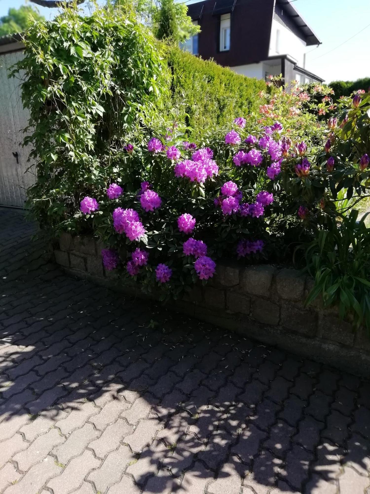 Apartament Wlodek Jelenia Góra Exterior foto