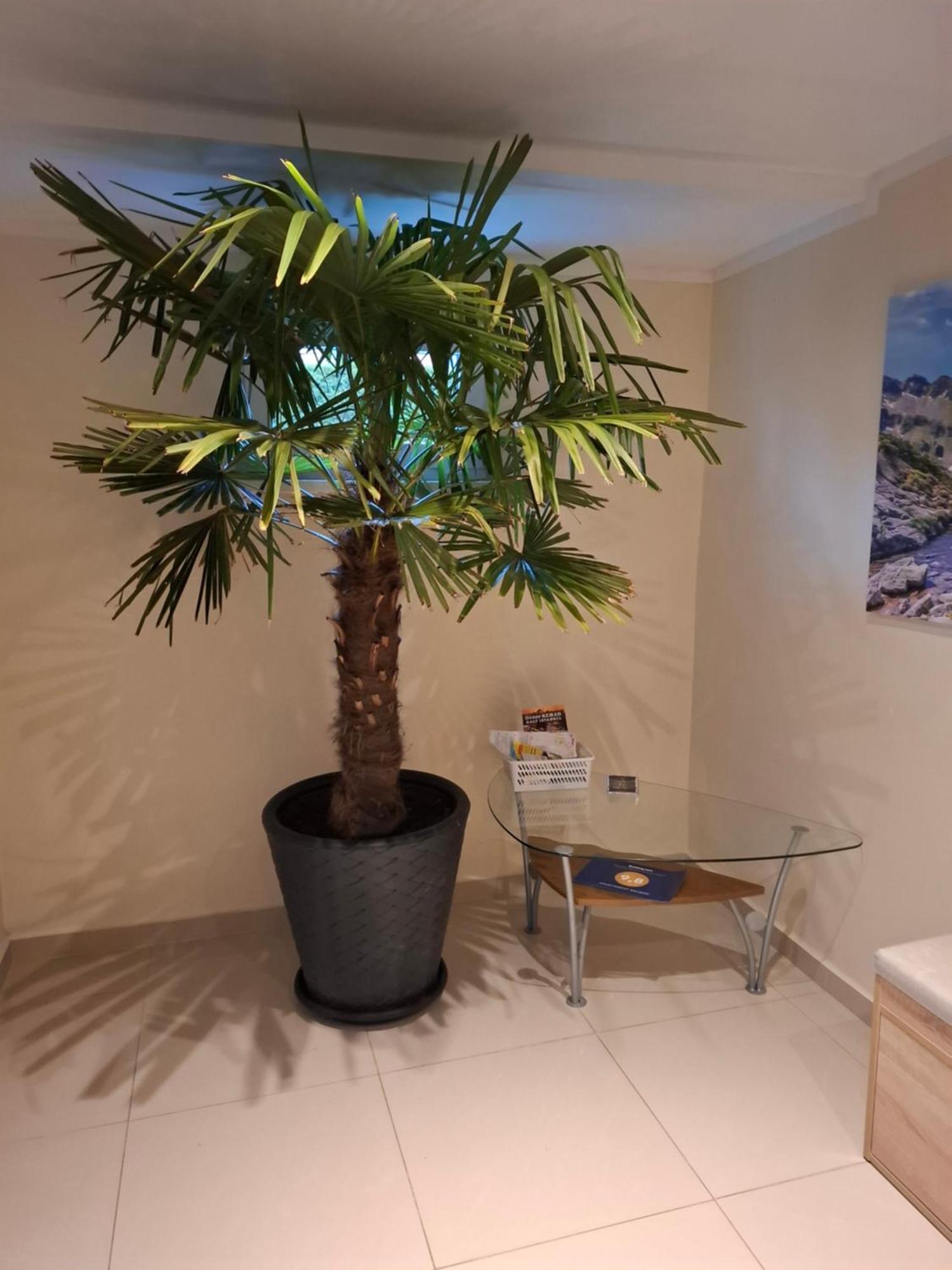 Apartament Wlodek Jelenia Góra Exterior foto
